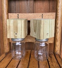 Pair paw paw for sale  Autryville