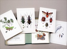 188 naturkundliche tafeln gebraucht kaufen  Dortmund