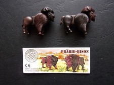 Prärie bison ... gebraucht kaufen  Groß-Zimmern