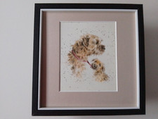 Hannah dale dog for sale  YORK