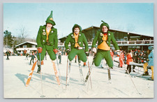 Postal Brodie Mountain Lodge and Ski Area Nueva Ashford Massachusetts segunda mano  Embacar hacia Mexico