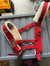 Qhp lunging cavesson for sale  MAIDSTONE