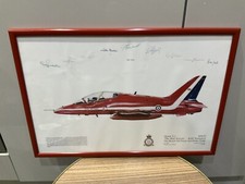 Picture print hawk for sale  BLACKBURN