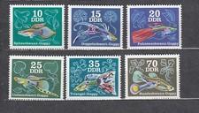 DDR  1976– Mi. Nr 2176-2181  (kompl. Edycja)  Ryby ozdobne MNH na sprzedaż  PL