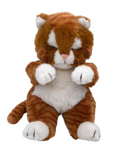 Katze tcm tchibo gebraucht kaufen  Hannover