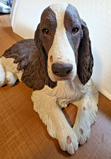 Springer spaniel liver for sale  Baltic