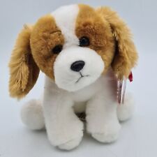 Keel puppy sitting for sale  NORTHAMPTON