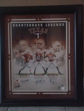 Vince young colt for sale  Forney