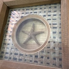 shadowbox art seashell for sale shadowbox art seashell for sale Baytown