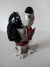 Little paws black for sale  SHREWSBURY