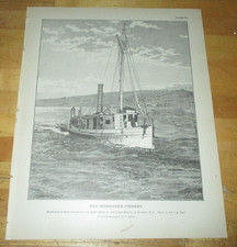 Vintage lot menhaden for sale  Memphis