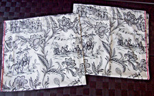 Asian toile curtain for sale  Crozet