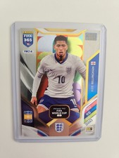 Panini fifa 365 gebraucht kaufen  Göttingen