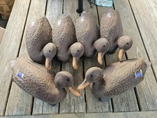 Mallard hen flambeau for sale  Venango