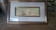 Beautiful framed seashell for sale  Biloxi