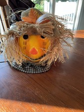 Fiber optic halloween for sale  Senoia