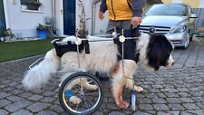 therapiestuhl gebraucht kaufen therapiestuhl gebraucht kaufen Buseck