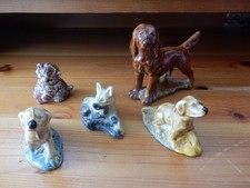 Five dog wade for sale  BOSTON