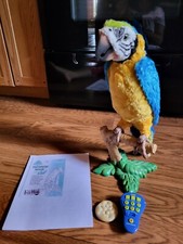 hasbro parrot for sale hasbro parrot for sale North Wales