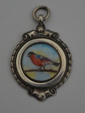Bullfinch bird enamel for sale  CHELMSFORD