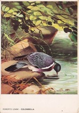 Cartolina roberto lemmi usato  Lugo