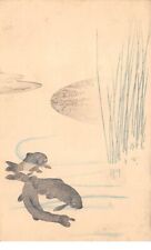 Illustrateur 63211 carpe d'occasion  France