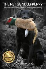 Pet gundog puppy for sale  UK