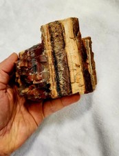 Arizona uncut petrified for sale  Dequincy