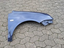 Kotflügel blau polo gebraucht kaufen  Blomberg