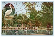 c1910's Interior Of Flying Cage New York Zoological Park NY Antique Postcard comprar usado  Enviando para Brazil