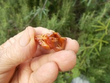 Minerali vanadinite mibladen usato  Buggiano