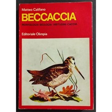 Beccaccia morfologia biologia usato  Alessandria