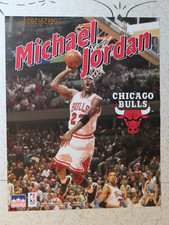 1995 michael jordan for sale  North Dighton