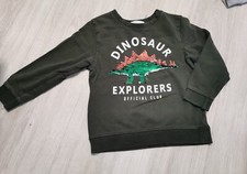 Wendepailetten pullover junge gebraucht kaufen  Lensahn