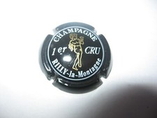 Capsule champagne rilly d'occasion  Saint-Pierre-du-Vauvray