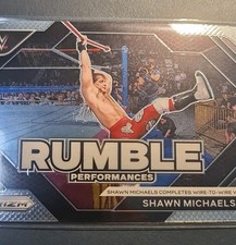 Wwe card shawn gebraucht kaufen  Weyhe