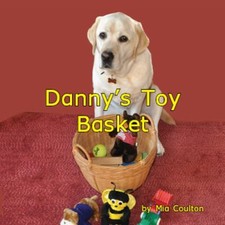 Danny toy basket for sale  Reno