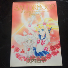 Sailor moon art usato  Spedire a Italy