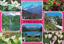 Valier pyrenees d'occasion  France