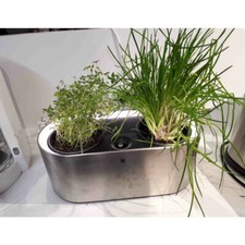 Wmf kräutertopf ambient gebraucht kaufen  Deutschland
