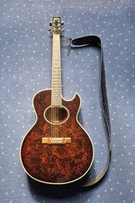 Westerngitarre washburn festiv gebraucht kaufen  Berne