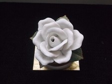 Rose peace white for sale  York