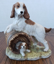 English springer spaniel for sale  Monticello