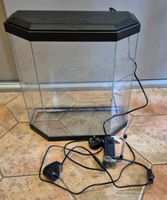Ciano aquarium fish for sale  GERRARDS CROSS