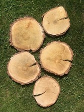 Dekoscheiben holz 15 gebraucht kaufen  Landshut