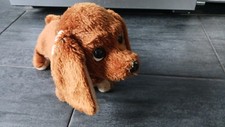 Alter hund plasty gebraucht kaufen  Nienhagen