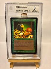 Magic mtg natural usato  Lucca