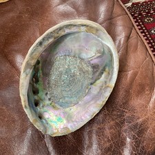 Abalone natural mother for sale  PORTSMOUTH