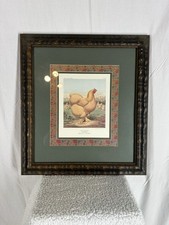Buff cochin hen for sale  Greenwood