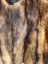 Beautiful rare fisher for sale  Sycamore